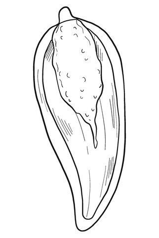 Half Jalapeno Coloring Page